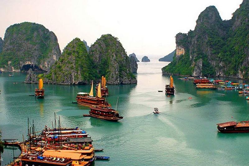 ha long bay cruise tour 